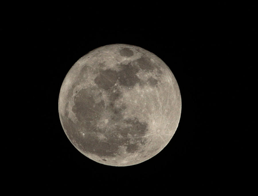 Moon 2012 Photograph by Rachel Bochnia