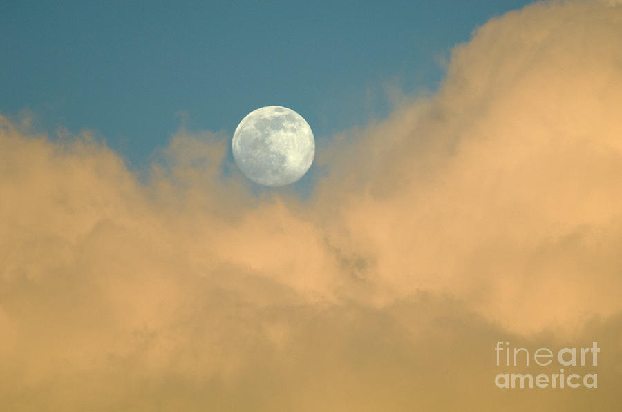 Moon And Cloud  Photograph by Bob Christopher