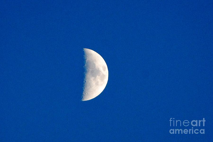Moon Early AM  Photograph by Lila Fisher-Wenzel