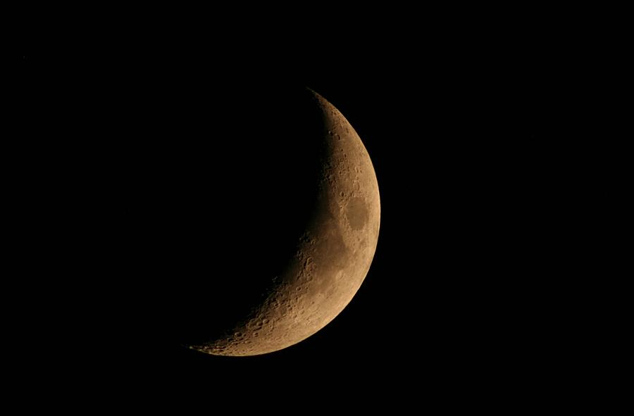 Moon Photograph by Ester McGuire