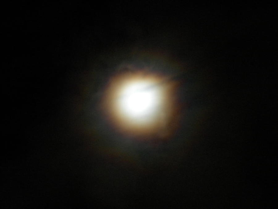 Moon Glow Photograph by Diannah Lynch