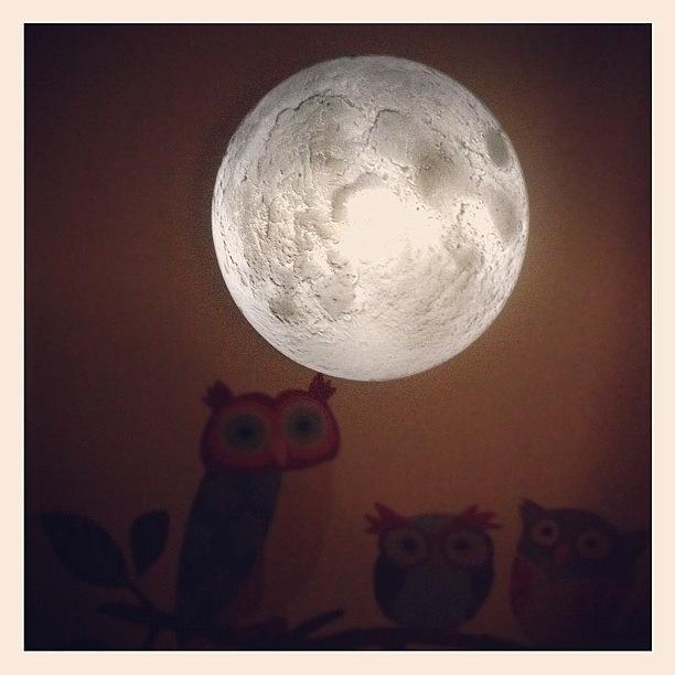 Owl Photograph - #moon #light #owls #dark #night by Adam Way