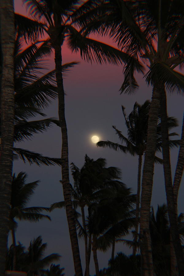 Sunset Photograph - Moon over Hawaii by Raquel Amaral
