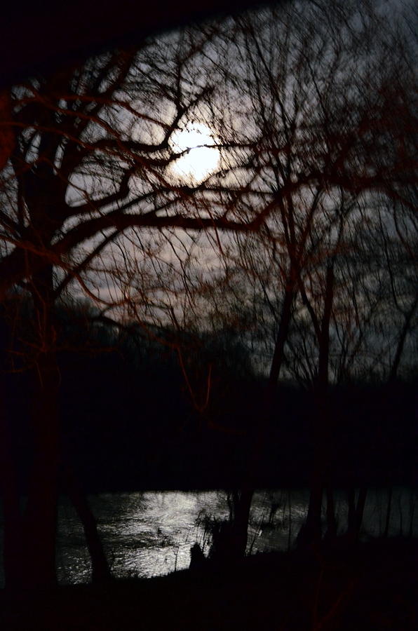 Moon Over Maury Photograph by Cathy Shiflett