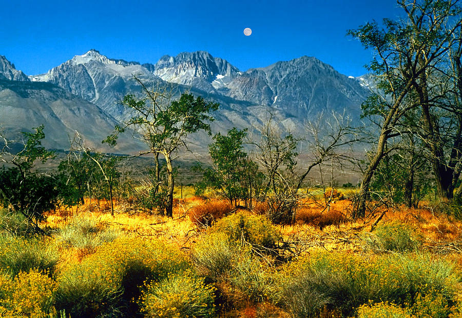 Moon Over Mt. Whitney Photograph by C Sitton