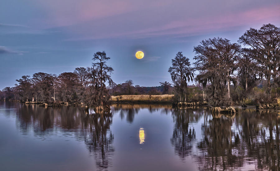 Moon over the Marsh Photograph by Mike Covington
