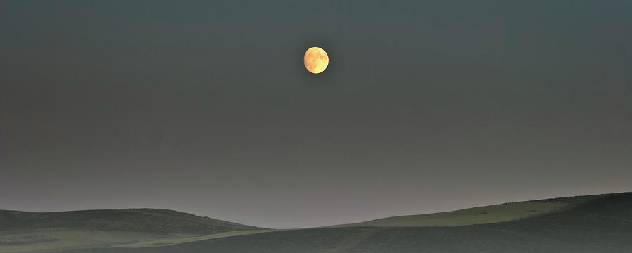 Moon over the Palouse Photograph by Albert Seger