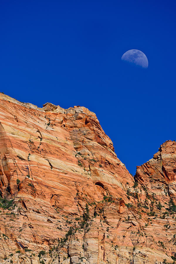 Zion National Park Photograph - Moon Over Zion by Greg Norrell