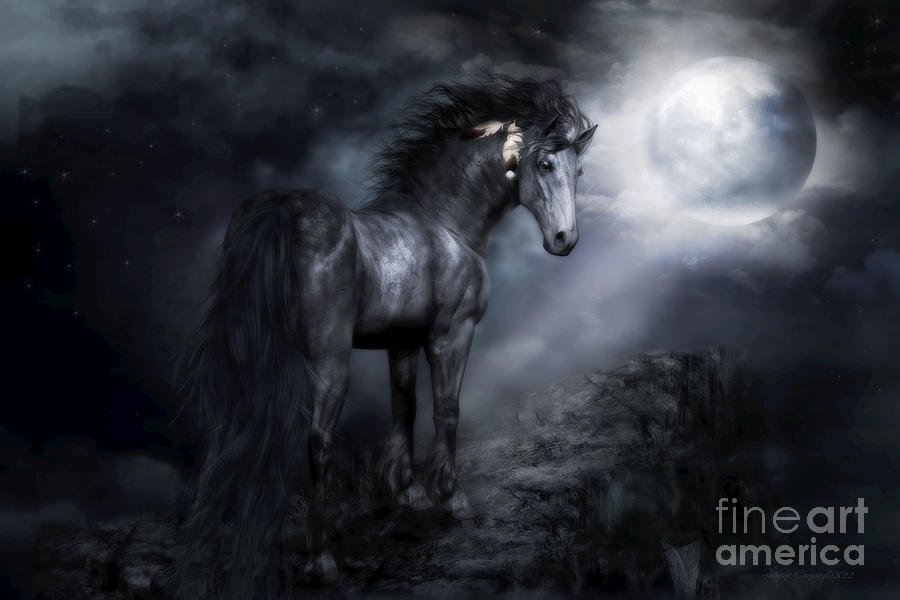 Horse Digital Art - Moon Shadow by Shanina Conway