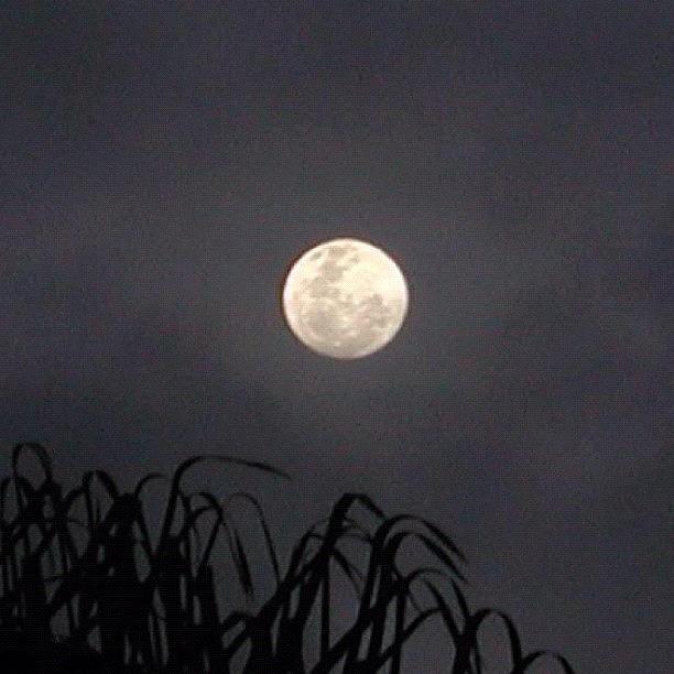 Nature Photograph - Moon Shot :)) #moon #nature #perth by Kristie Brown