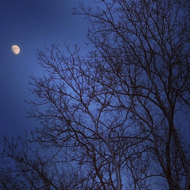 Bd Photograph - #moon #sky #skyporn #spectacularsky by Jason Antich
