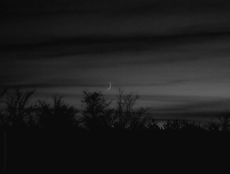 Moon Sliver Photograph by Mimulux Patricia No