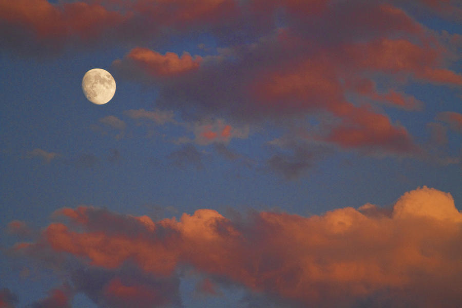 Moon Sunset Photograph by James BO Insogna