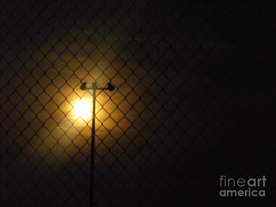 Moon Photograph - Moon Through Fence by Phyllis Grant