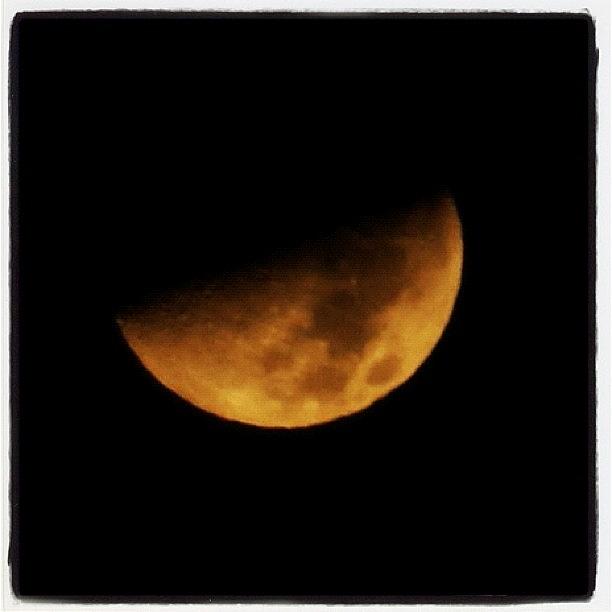 Moon Tonight 1 Am Photograph by Marguerite Spieker