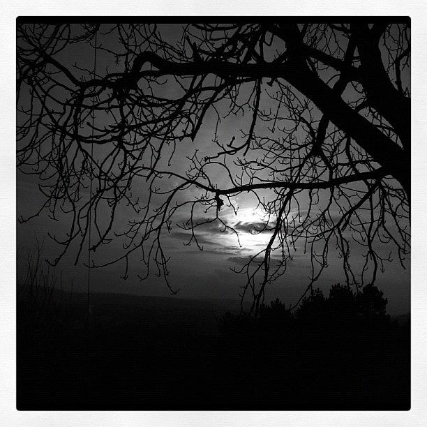 Tree Photograph - #moon #trees #landscape by Carolyn Ferris