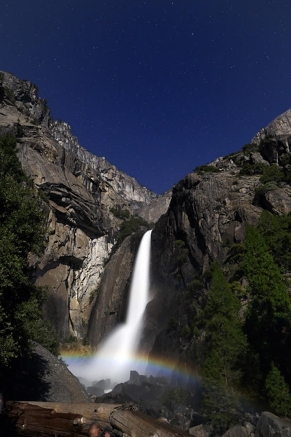 Tree Photograph - Moonbow at Yosemite Falls by Rick Berk