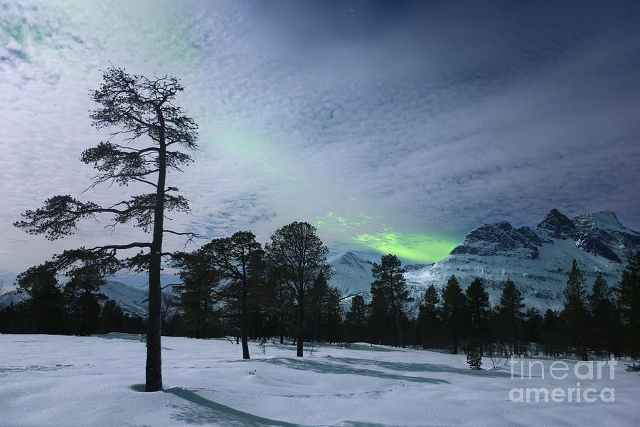 Nature Photograph - Moonlight And Aurora Borealis by Arild Heitmann