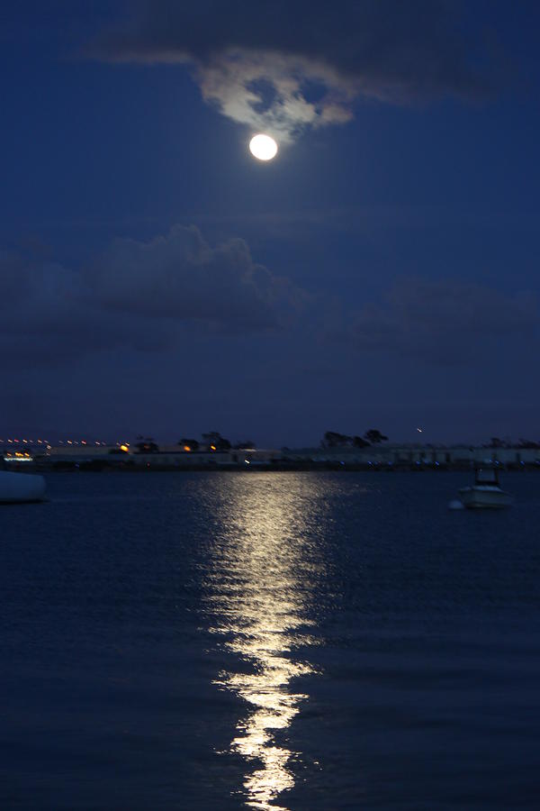 San Diego Photograph - Moonlight by Caroline Lomeli