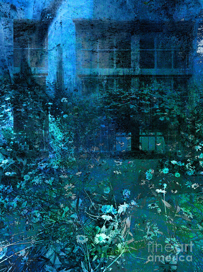 Moonlight in the Garden Photograph by Ann Powell - Fine Art America