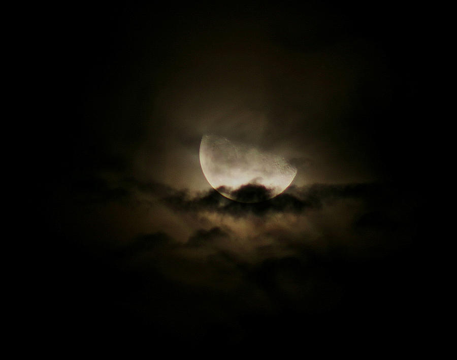 MoonLight Photograph by Karen Harrison Brown