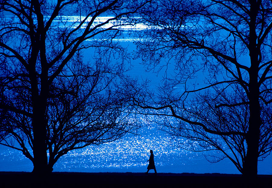 Moonlight Stroll Photograph by Mike Flynn