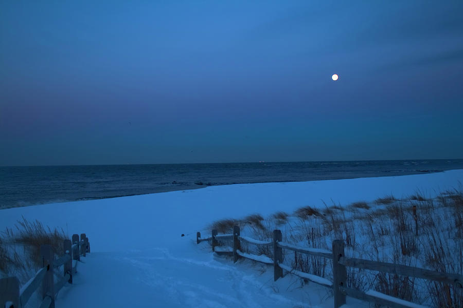 Moonlit Beach Path Photograph by Tom Singleton