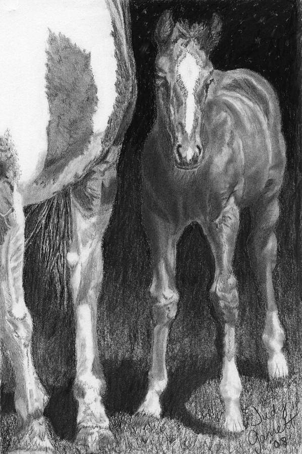 Moonlit Mare and Foal Drawing by Judy Garrett - Fine Art America