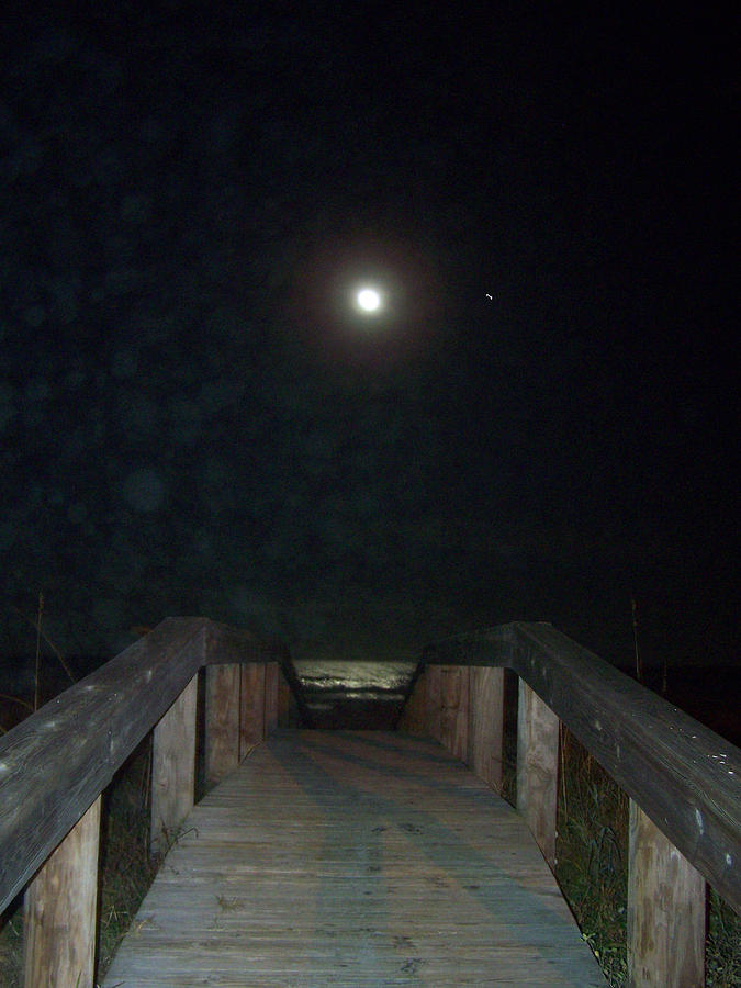 Tide Photograph - Moonlit Tide and Twinkling Star by Patricia Clark Taylor