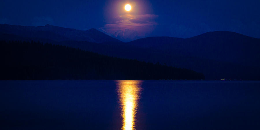 Tree Photograph - Moonrise over Priest Lake by David Patterson
