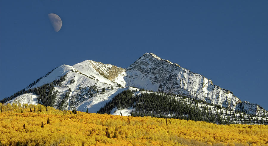 Moonrise Over the Aspens Photograph by Dave Mills