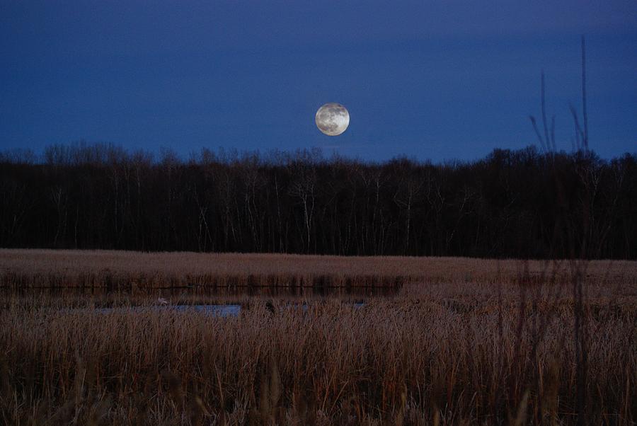 Moonrise Photograph by Steven Clipperton