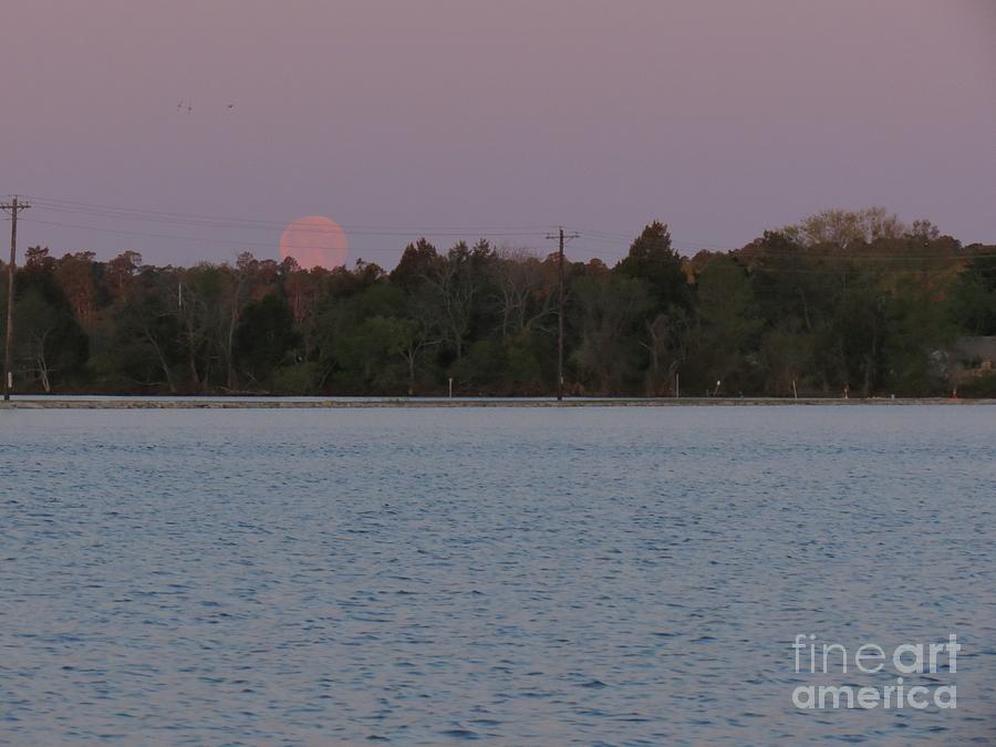Moonset at Blackwater Photograph by Rrrose Pix