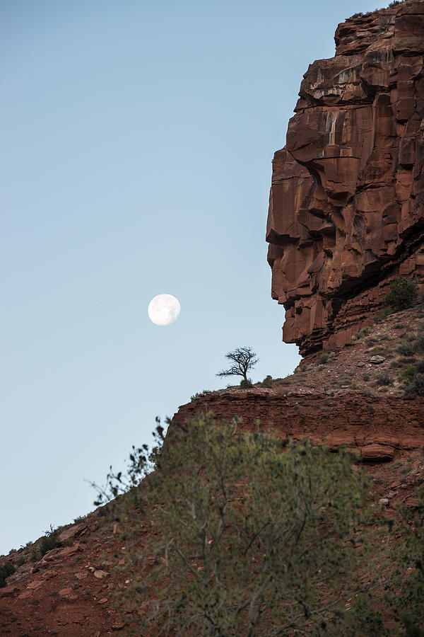 Moonset over Zion Photograph by Jay Seeley