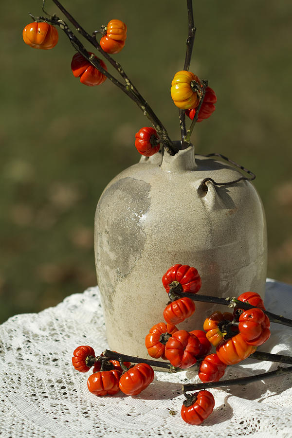 Moonshine Jug and Pumpkin On A Stick Photograph by Kathy Clark