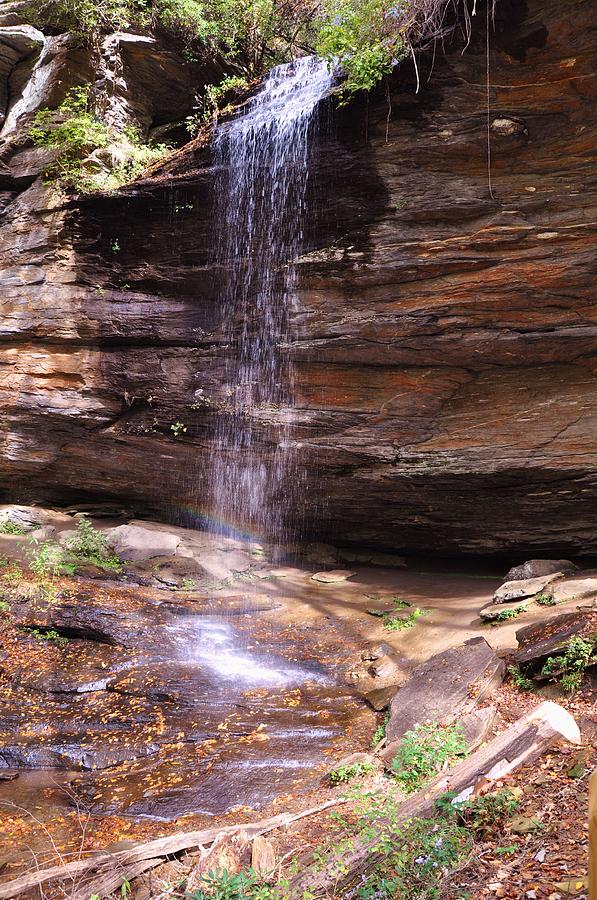 Moore Cove Waterfall Photograph by Pam Medlin - Fine Art America