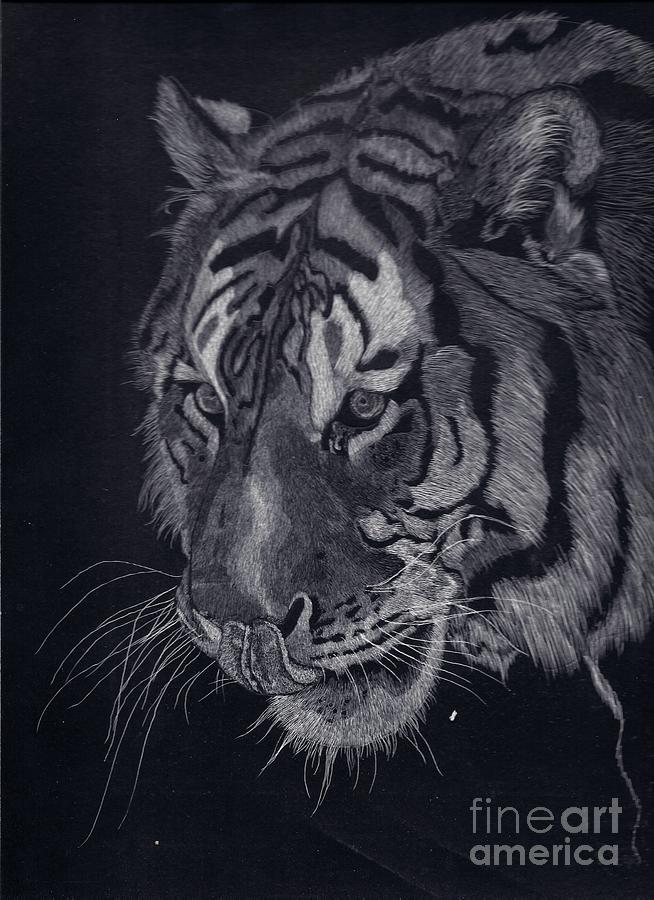 Moquito El Tigre Drawing by Yenni Harrison