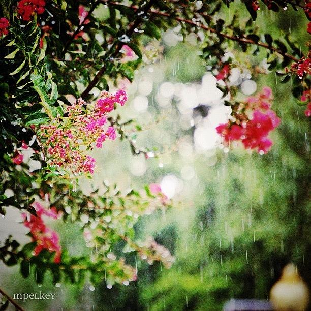Charlotte Photograph - More Bokeh Raindrops.. #rain #droplets by Margie P