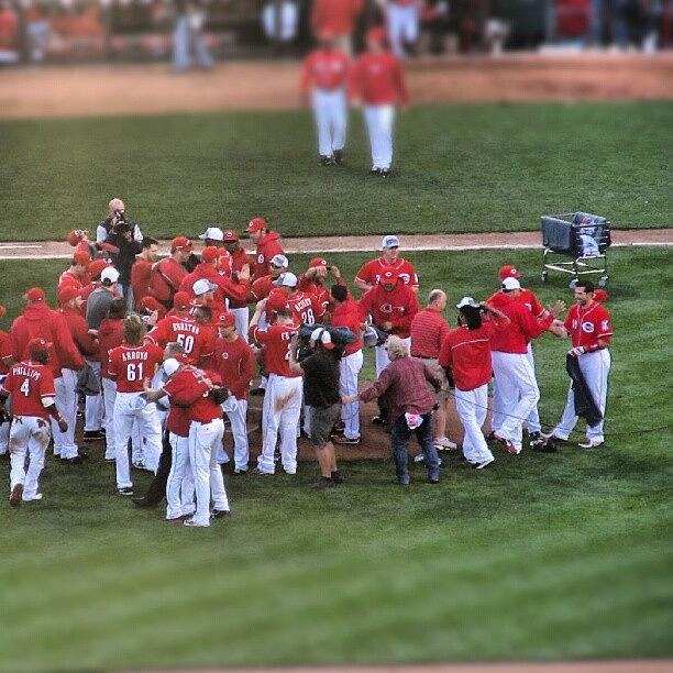Cincinnati Photograph - More Celebration... #reds by Heather Anne
