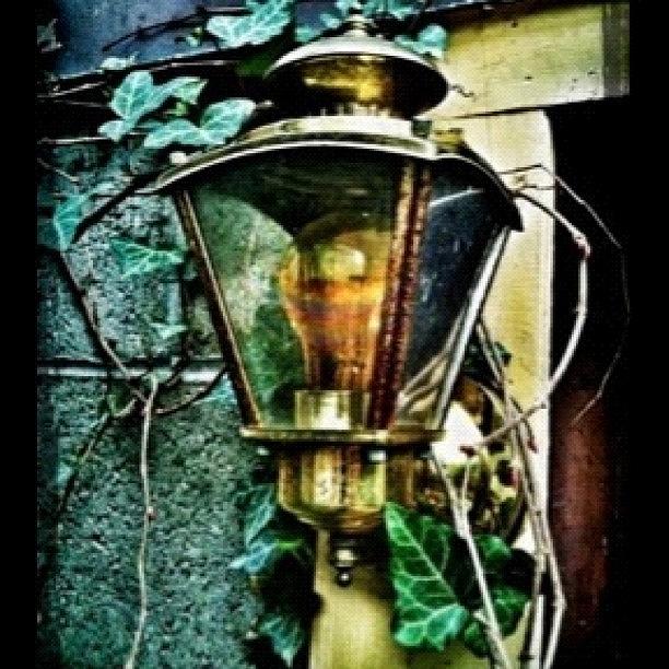 Magic Photograph - more From My Lantern Series by Carrie Mroczkowski