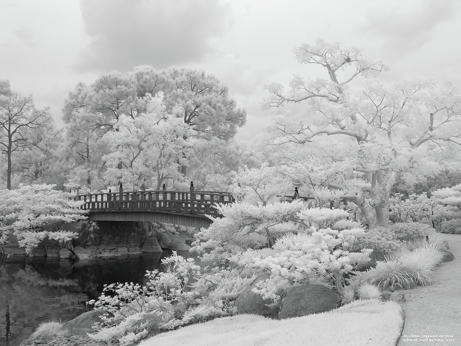 Morikami Japanese Gardens Photograph by Rolf Bertram