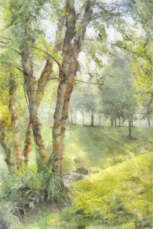 Morning Birches Digital Art by Frances Miller