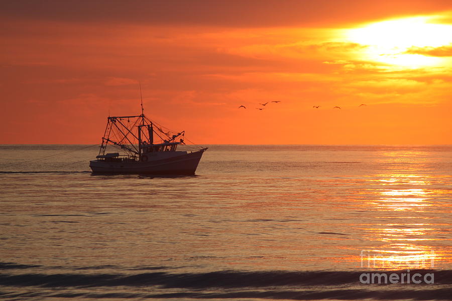 Sunrise Photograph - Morning Catch by Bev Veals