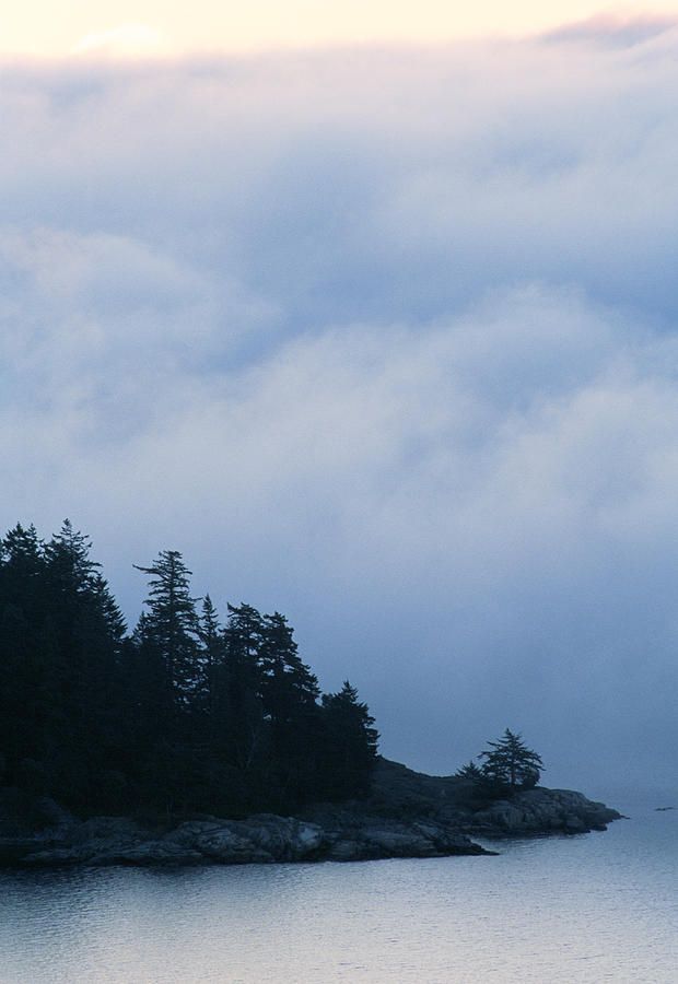 Nature Photograph - Morning Fog by Alan Sirulnikoff