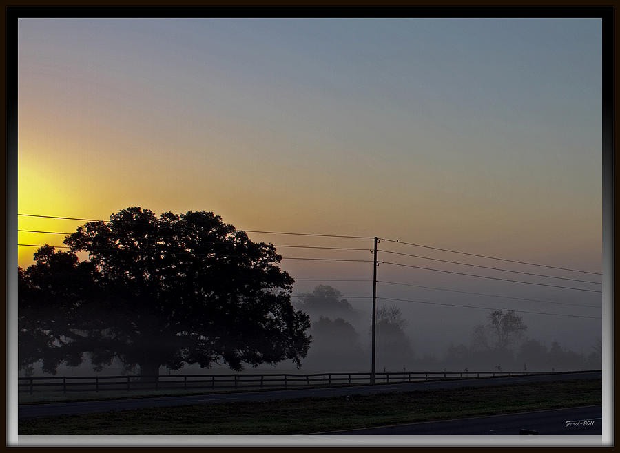 Morning Fog Photograph by Farol Tomson