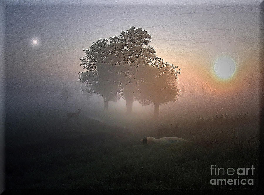 Morning fog Digital Art by Harald Dastis