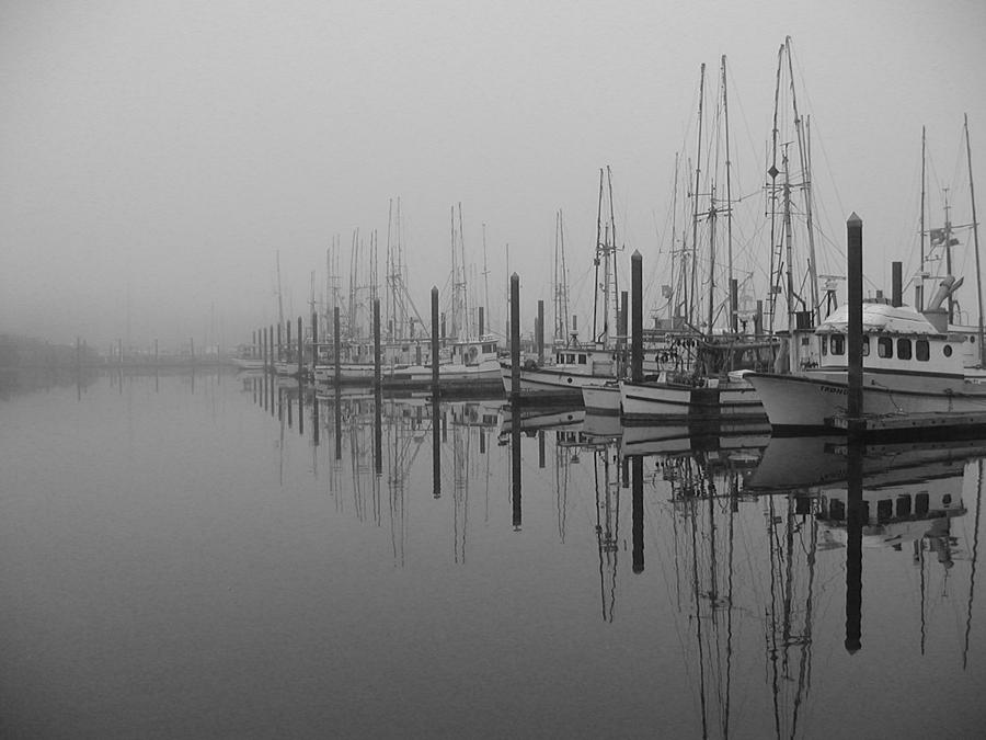 Morning Fog Photograph by HW Kateley