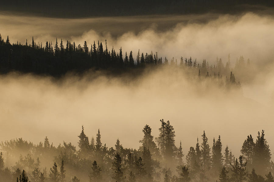 Morning Fog Near Swan Lake Photograph by Matthias Breiter
