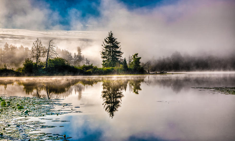 Morning Fog on the Lake Photograph by Tommy Farnsworth