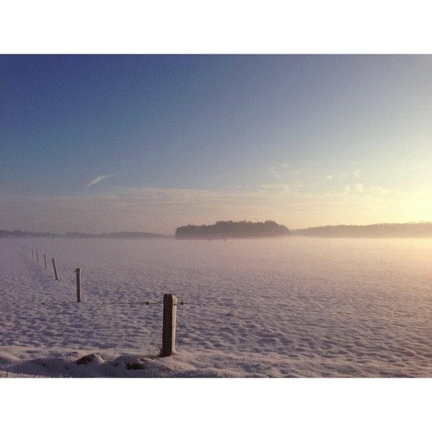 Winter Photograph - Morning Glory by Chrit Werdmolder Smeets